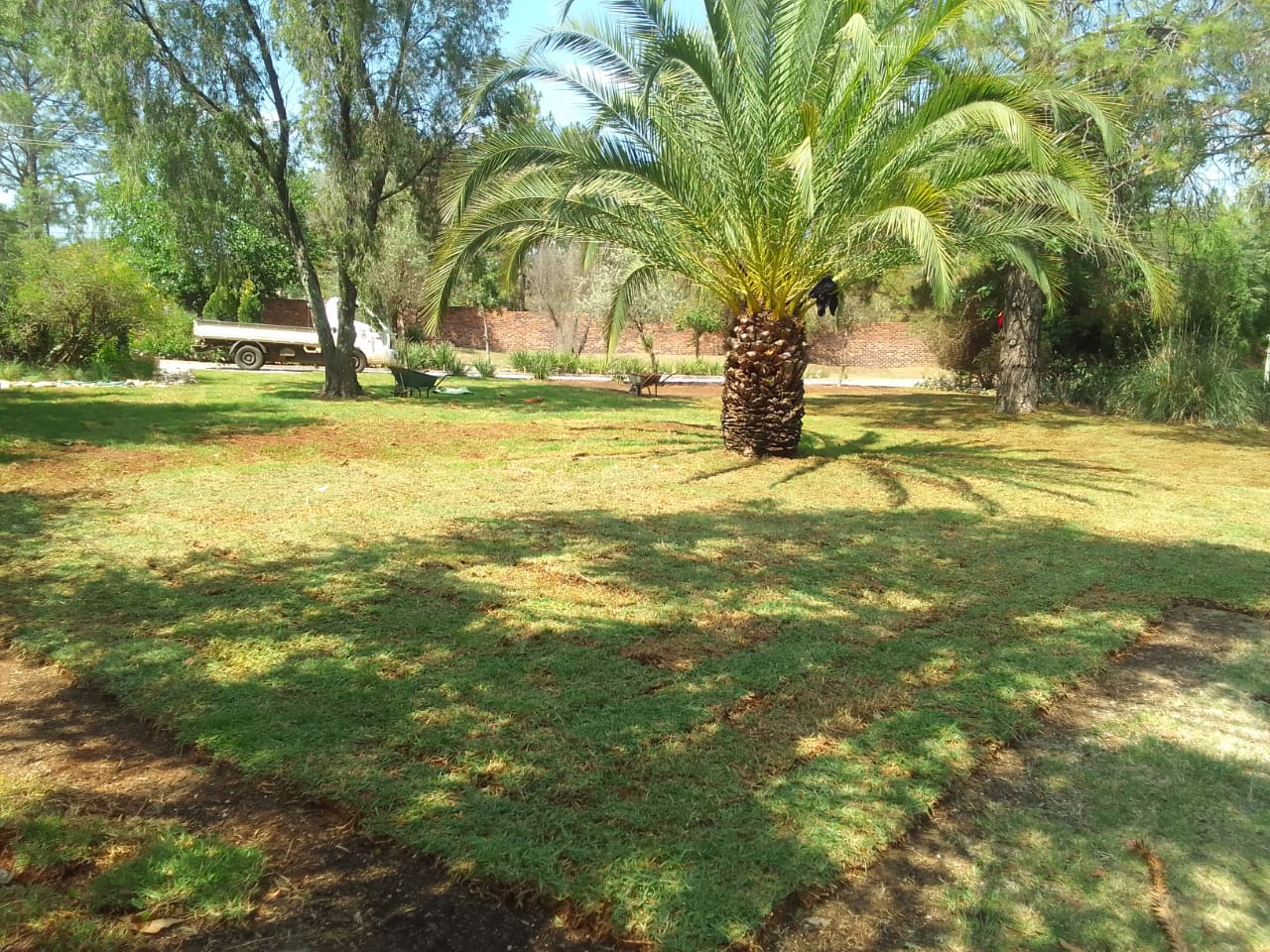 Grass Installation