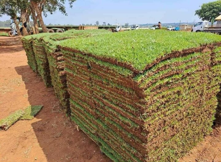 Grass Delivery